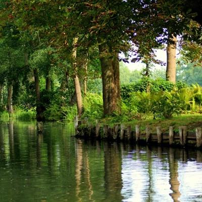 火狐体育下载app手机app下载