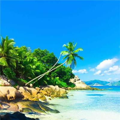 Bsport体育手机在线登录入口