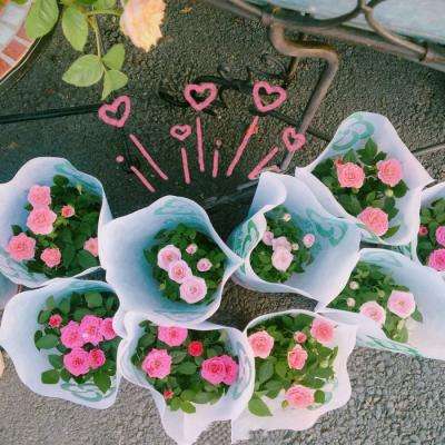 yabo888vipapp下载截图