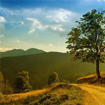 港澳宝典手机app下载