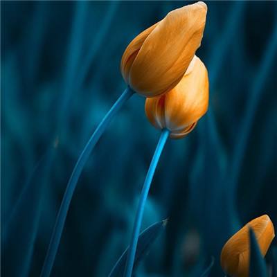 宝威体育官网app下载