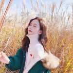 双赢彩票官方下载